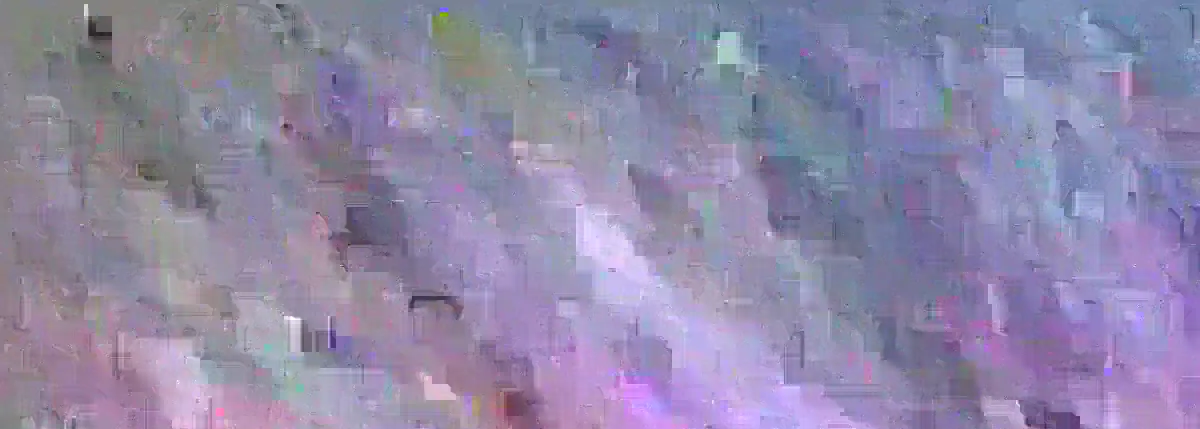 百万网红约站黑人40CM大黑鸡巴