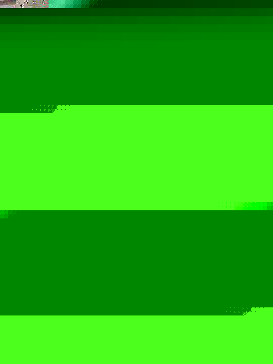 image content