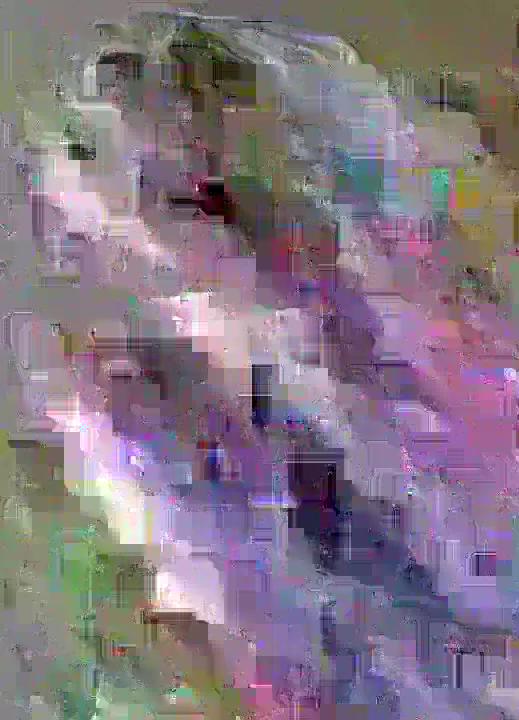 image content