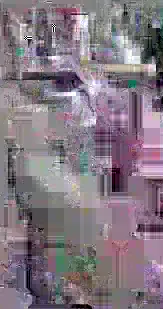 image content