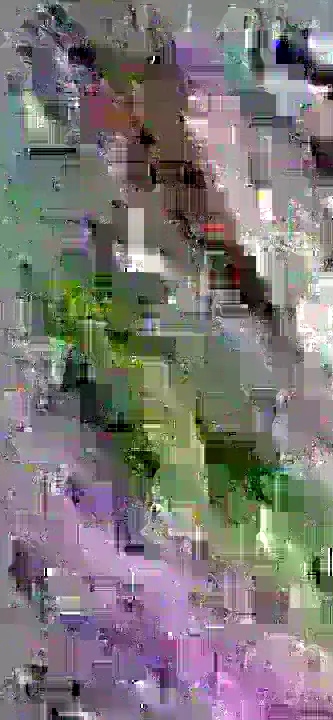 image content
