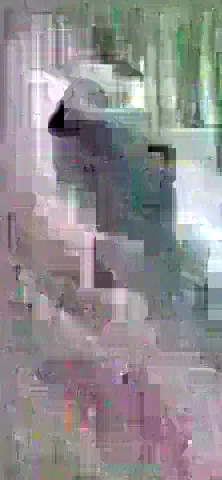 image content