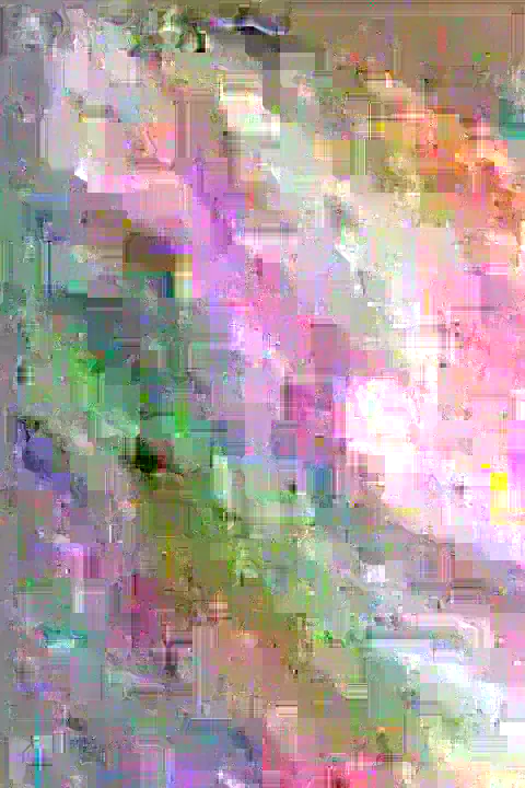 image content