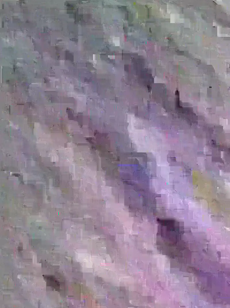 image content