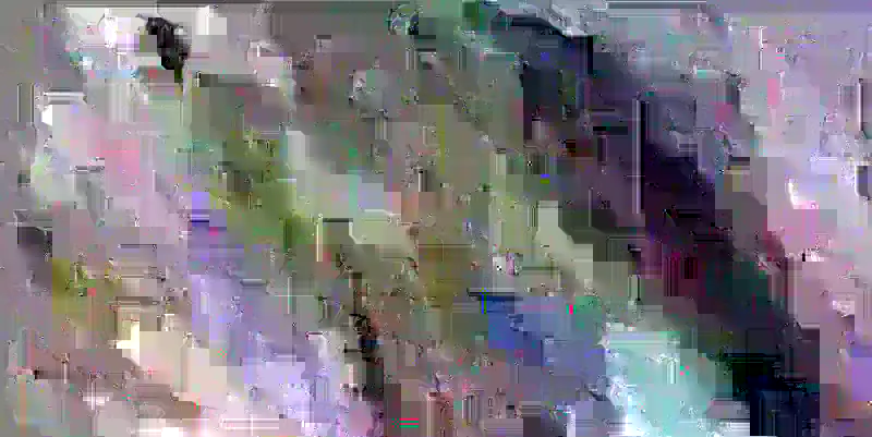 image content