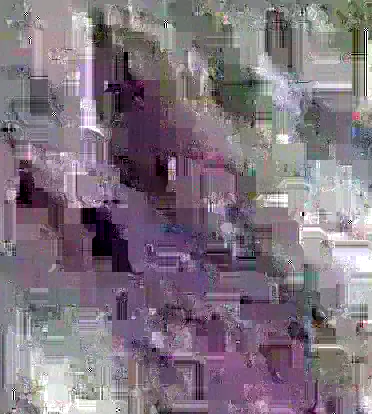 image content
