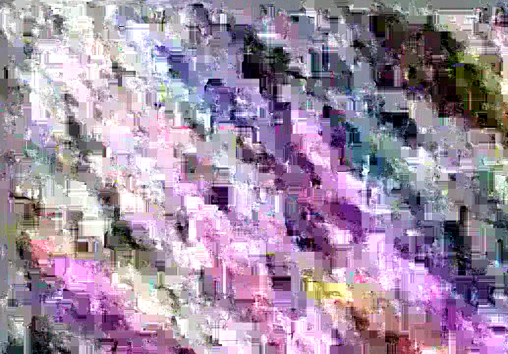 image content