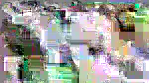 image content