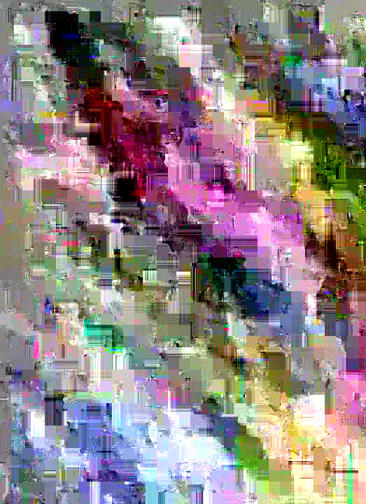 image content