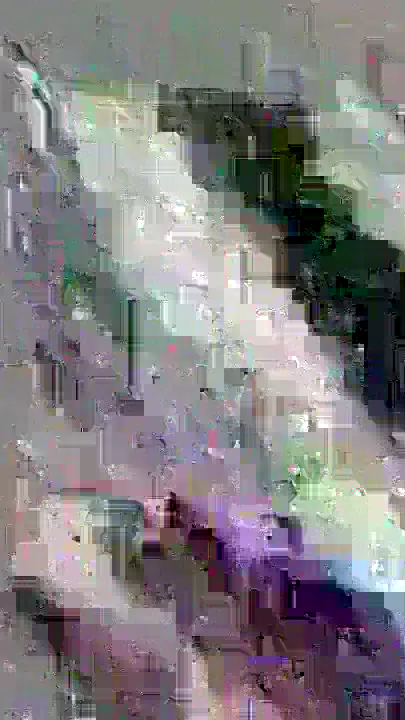 image content