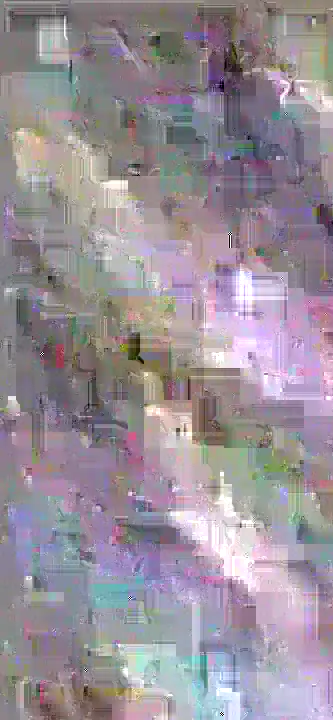 image content