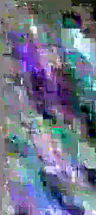 image content