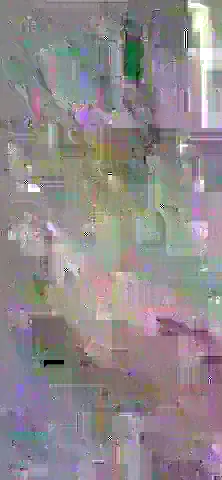 image content