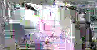 image content