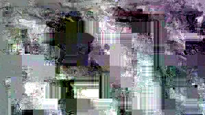 image content