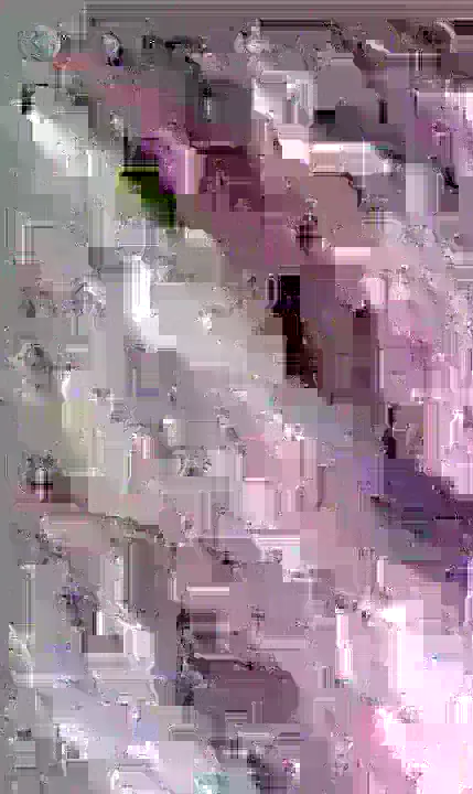 image content