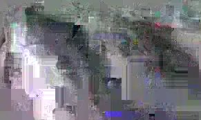 image content