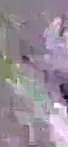 image content