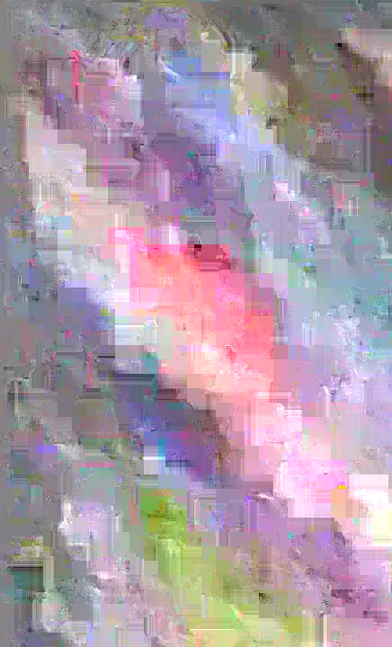 image content